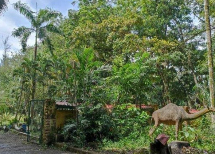 Berburu Jajanan di Taman Remaja Bengkulu, Cocok untuk Nyantai Sore Bawa Keluarga