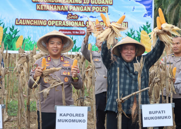 Polres Mukomuko Perkuat Ketahanan Pangan, Panen Jagung hingga Bangun Gudang Penyimpanan