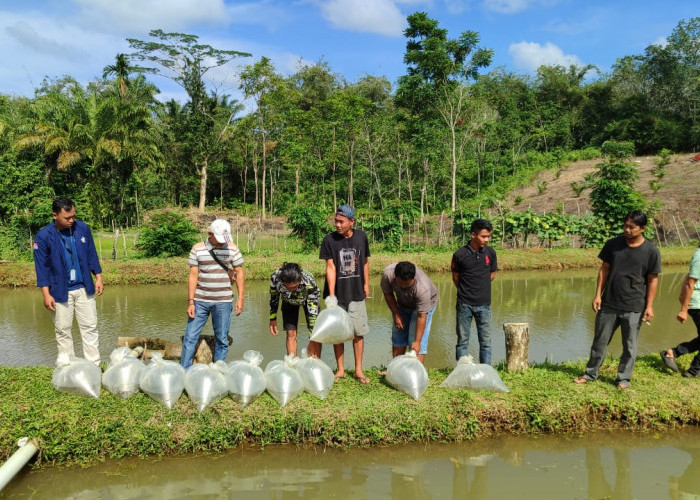 Banyumas Ditarget Jadi Sentra Ikan Air Tawar di Kabupaten Bengkulu Utara