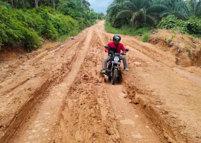 Warga Berharap Pemkab Bengkulu Utara Tak Lupa Atas Janjinya untuk Tingkatkan Jalan Trans Lapindo