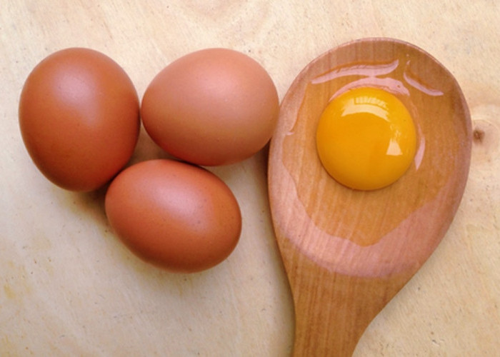 Inilah Fakta Unik Tentang Kuning Telur yang Jarang Diketahui