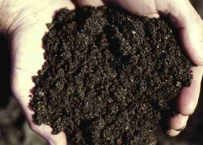 Waspada Ternyata Masih Banyak Jimat Sihir yang Sering Digunakan