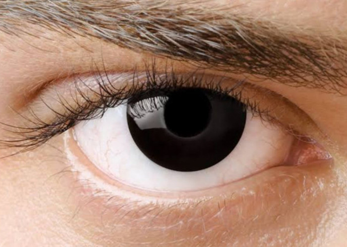 Tips Mudah Menjaga Kesehatan Mata agar Tetap Sehat hingga Usia Lanjut