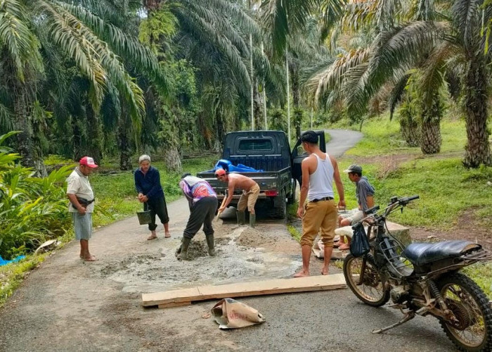 Pemerintah Diminta Beri Perhatian Gorong-gorong Penyebab Banjir di Desa Dusun Raja