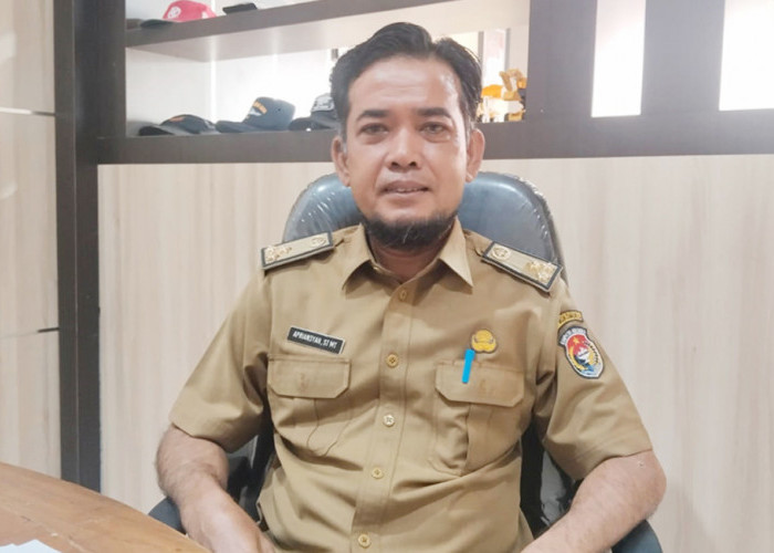 DBH Sawit Anjlok, Pembangunan Jalan Mukomuko Terancam Lumpuh