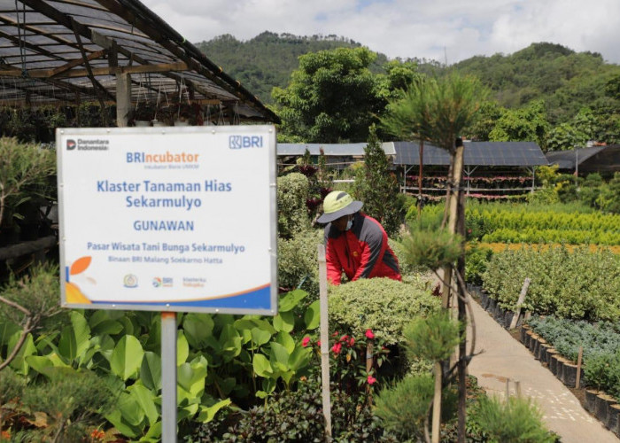 Perkuat Ekonomi Kerakyatan, BRI Berdayakan 41 ribu Klaster Usaha melalui Pembiayaan dan Literasi Keuangan