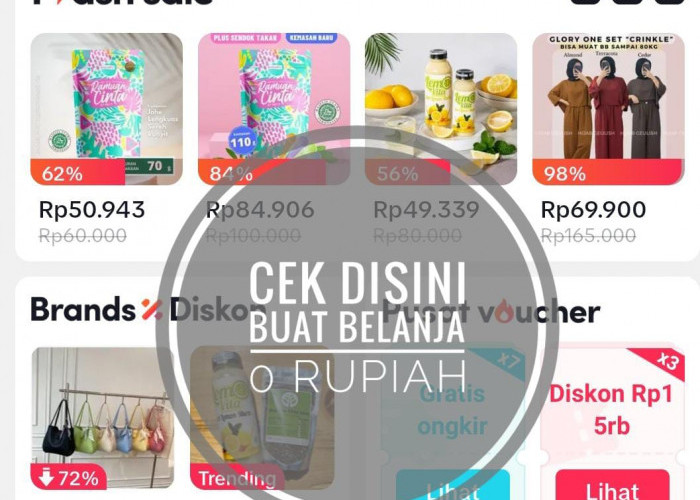 Ikuti Cara Ini Dijamin Kamu Bakalan Belanja Online Nol Rupiah Loh