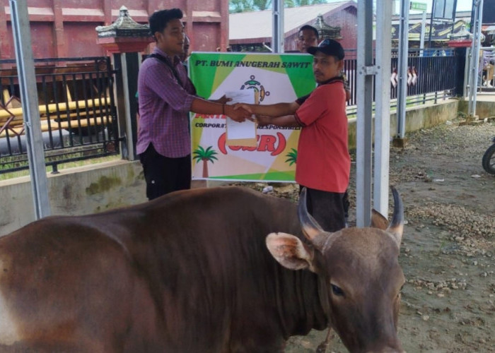 Pemdes Bukit Makmur dan Perusahaan Perkuat Kepedulian Lewat Penyaluran Hewan Kurban