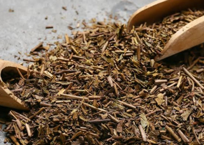 Mengenal Hojicha, Teh Asal Jepang yang Mulai Populer di Indonesia