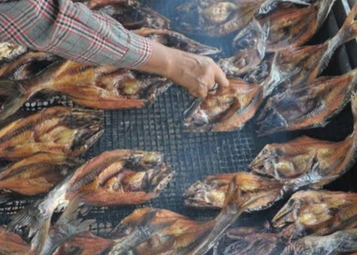 4 Tips Pilih Ikan Salai Asap yang Berkualitas Baik Saat Belanja di Pasar Tradisional Bengkulu