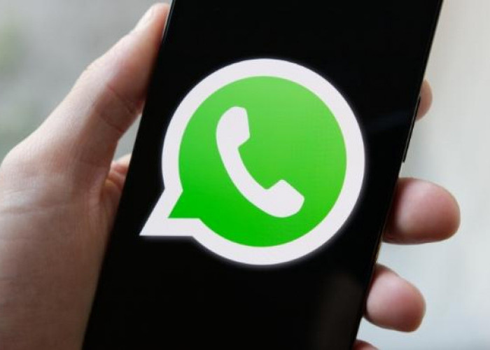 WhatsApp Segera Hadirkan Kemampuan Memindai Dokumen dalam Aplikasi