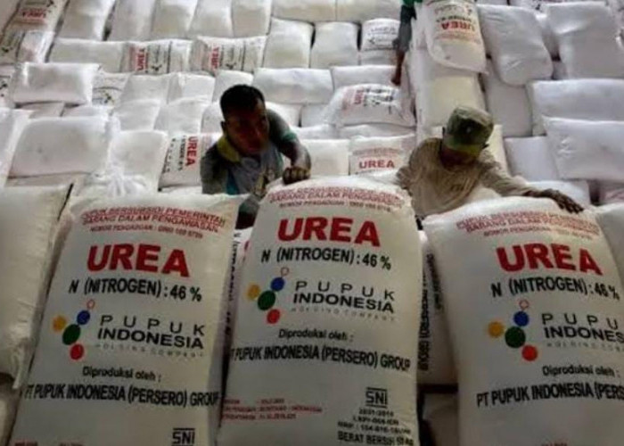 PT Pupuk Indonesia Siap Salurkan Pupuk Subsidi Kepada Petani, Ini Jumlah Alokasinya  