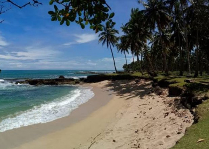 Rekomendasi Tempat Wisata Anti Kantong Bolong di Kaur Bengkulu, Ternyata Banyak Pantai yang Masih Asri