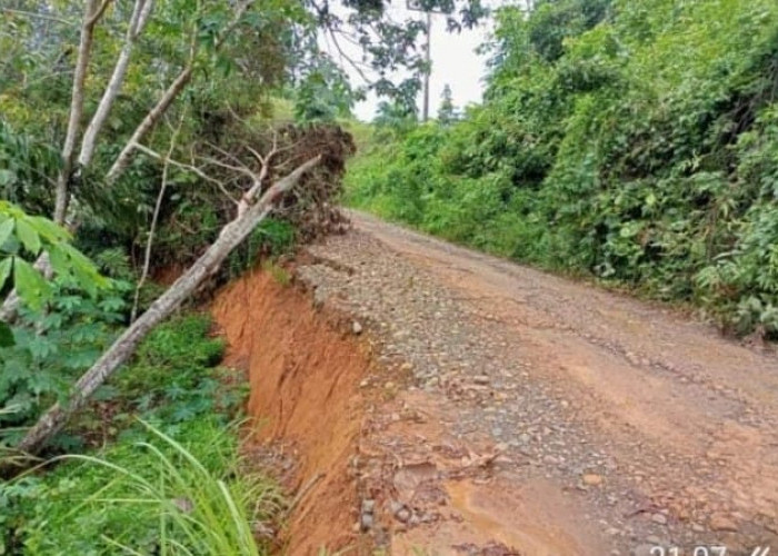 Pemda Wajib Melek, Anggaran Rp400 M Diharapkan Bisa Tangani Kerusakan Infrastruktur Jalan Ketahun-Napal Putih