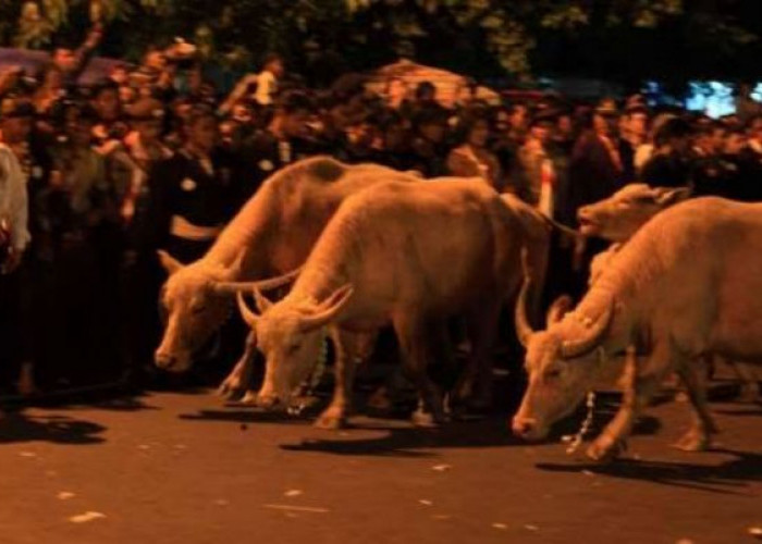 Kisah Keramat Bikin Merinding, di Solo Ternyata Ada Ritual Mistis yang Jarang Diketahui Pada Malam Satu Suro