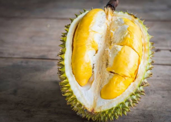 Buah Ikonik di Kota Bengkulu, Ini 7 Manfaat Durian yang Jarang Diketahui