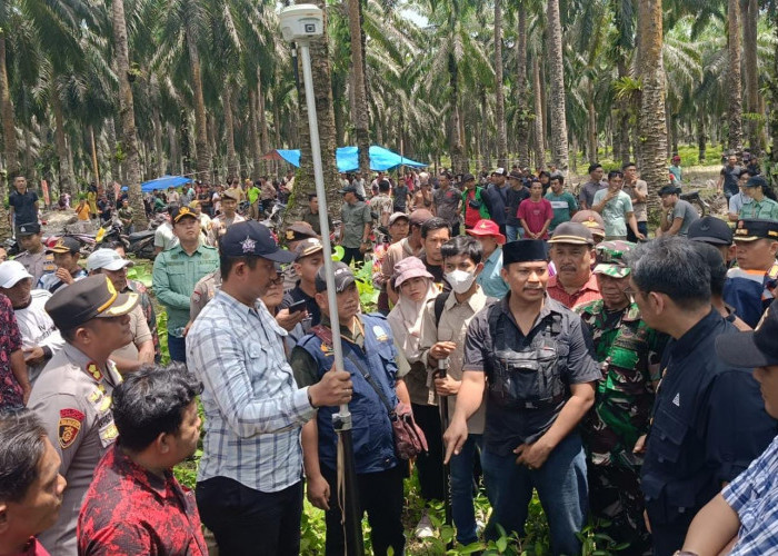 BPN Cek Langsung 16 Titik Koordinat HGU PT Agricinal, Hasilnya 2 Titik Koordinat Diluar HGU