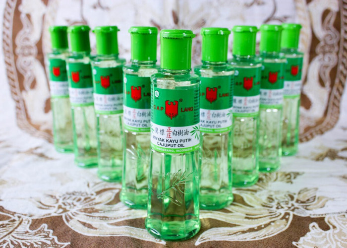 Bukan Obat Mahal, Namun Cukup Gunakan MInyak Kayu Putih untuk Hilangkan Penyakit Kulit pada Kucing