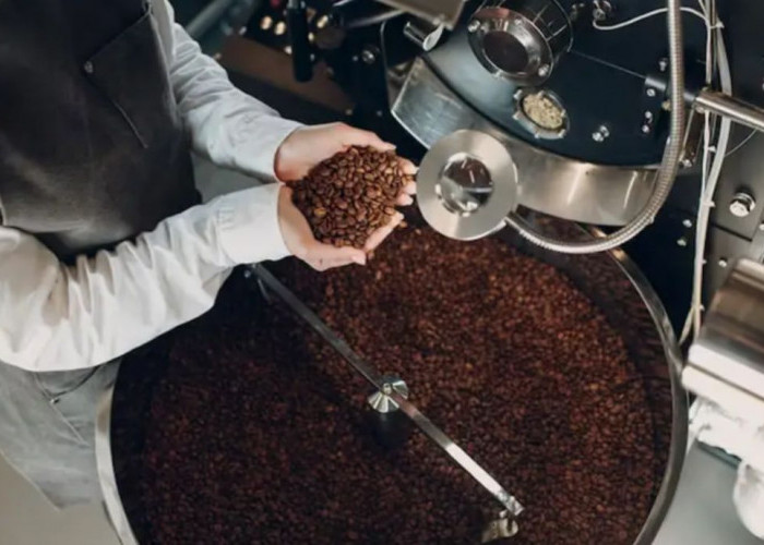 Selain Luak, Ini Deretan Kopi dari Kotoran Hewan