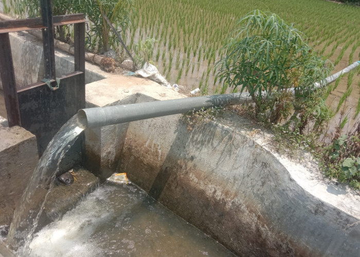 Petani di Karya Jaya Masih Andalkan Mesin Sedot untuk Cukupi Pasokan Air ke Sawah, Begini Kondisinya