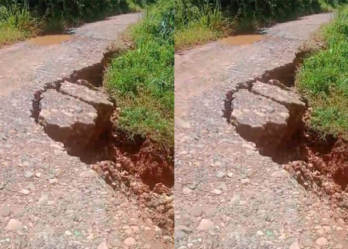 Jalan Tanjung Alai–Jabi Menunggu Putus, Pemdes Minta Penanganan Darurat