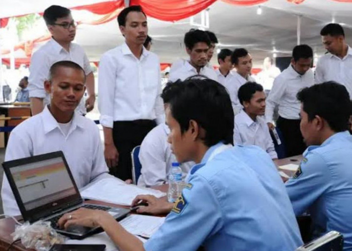 Tanpa Sertifikat TOEFL, Ini Deretan Kementerian Sepi Peminat CPNS 2024, Gaji Hingga Rp9 Juta per Bulan