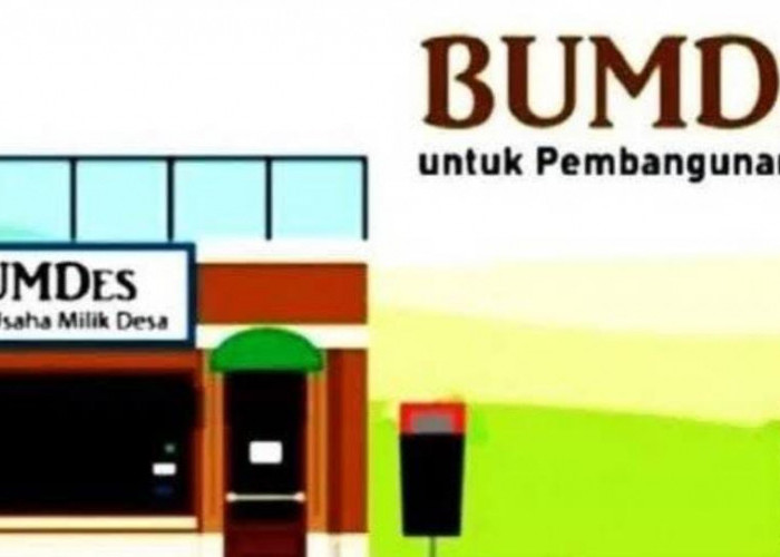 Belanja Modal Banyak yang Tidak Tercatat dan Kusut, APH Perlu Audit BUMDes?