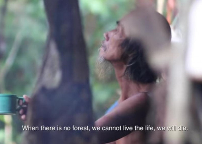 Sering Berpindah Tempat, Suku Punan Batu Sang Penjaga Rimba di Kalimantan