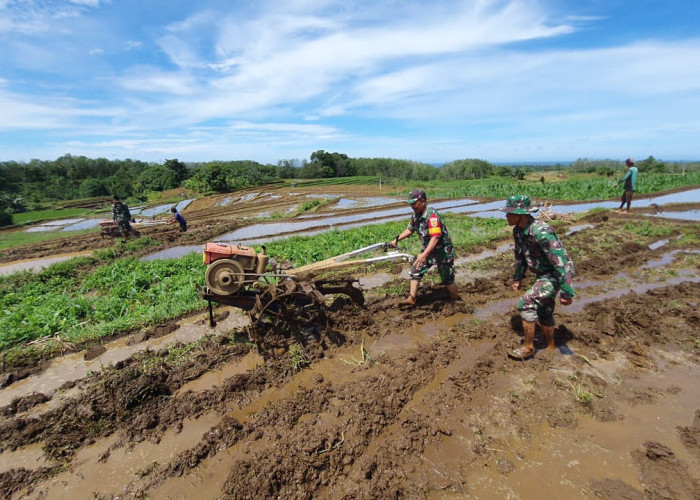 Dukung Ketahanan Pangan, Kodim Bengkulu Utara Siapkan 200 Hektar Lahan Pertanian 