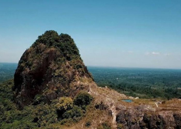 Wisata Bukit Kandis, Tawarkan Keindahan Alam yang Menawan