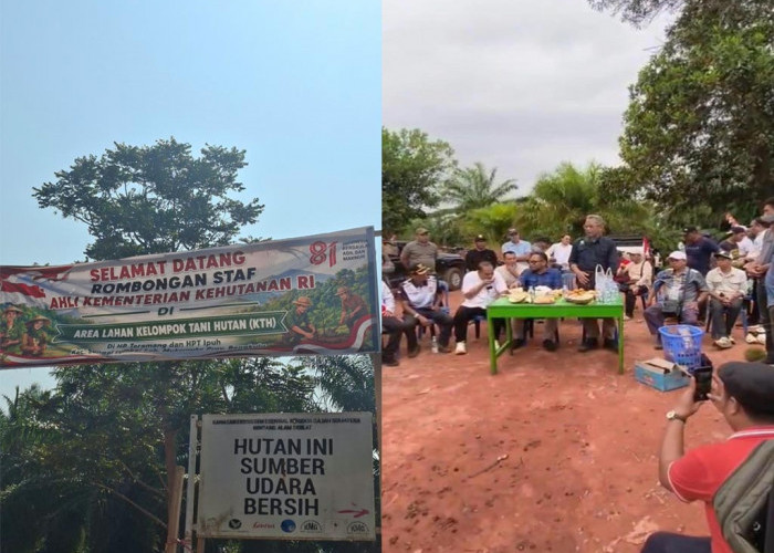 Staf Ahli Kemenhut RI Turun, Habitat Gajah di BAS Dalam Pusaran Usulan Skema PS