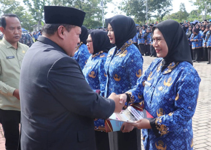 PPPK Paruh Waktu Mukomuko Berkurang, 10 Orang Pilih Mengundurkan Diri