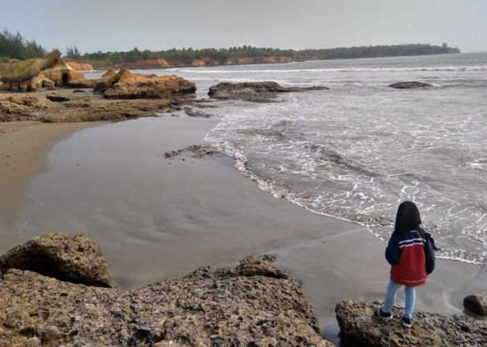 Masih Sepi Pengunjung, Wisata Pantai Harapan Cocok Untuk Buat Konten Ala-ala