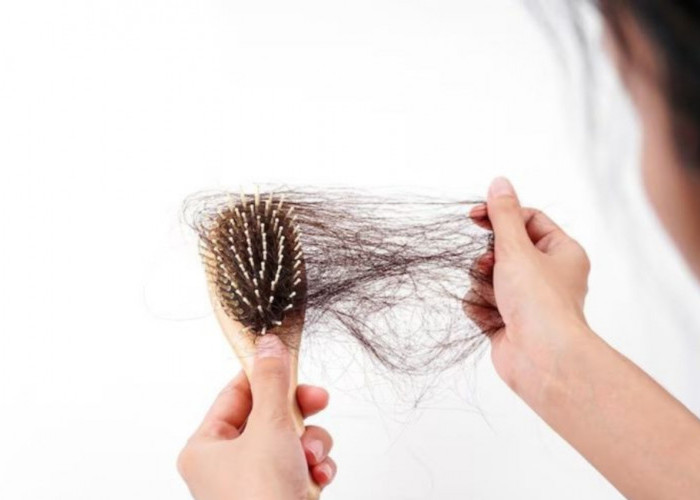 Jangan Biarkan Rambut Anda Habis Karena Rontok, Temukan Obat Alami Ampuh dan Cara yang Harus Dilakukan 