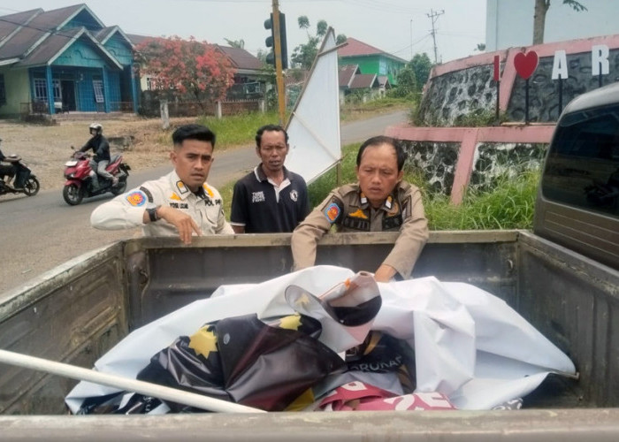  Jelang Penilaian Adipura, Satpol PP 'Sikat' Reklame Liar