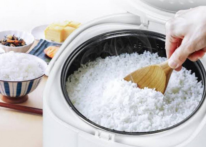 Walau Hanya Memasak Beras, Perhatikan Cara yang Benar Agar Mendapatkan Nasi yang Pulen