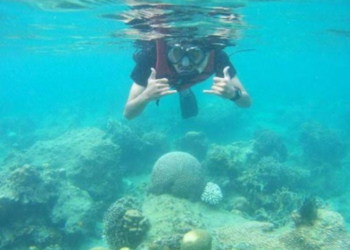 5 Wisata Pantai yang Asri dan Menenangkan di Jakarta untuk Mengisi Libur Akhir Pekan, Bisa Snorkeling Juga