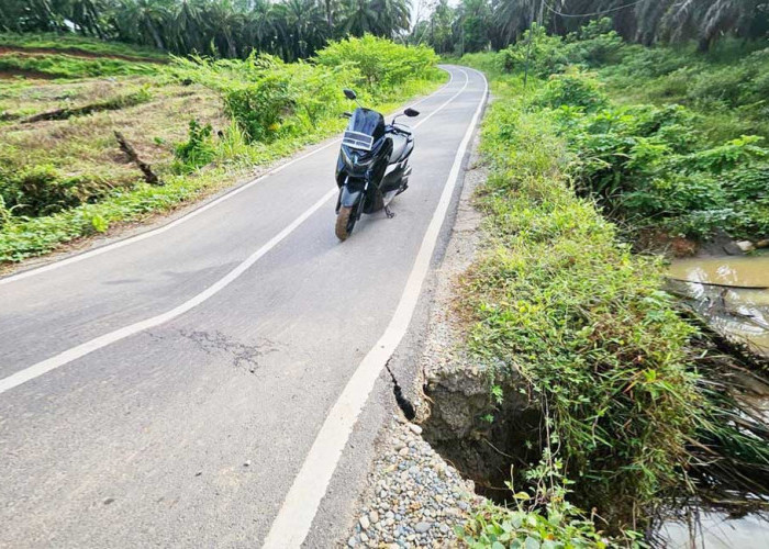 Belum Lama Dibangun, Ruas Jalan Bukit Indah Mulai Ambles Diterjang Hujan
