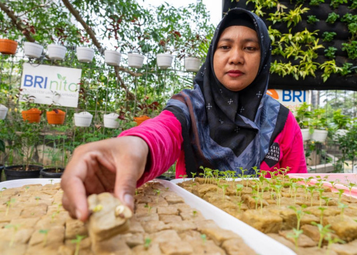 BRI Diakui atas Peran Nyata dalam Urban Farming dan Pemberdayaan  Perempuan