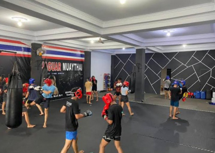 Cobain, Bagus untuk Diet! Ini 3 Rekomendasi Tempat Latihan Muay Thai di Kota Bengkulu