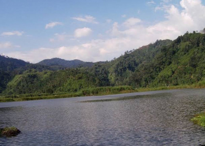 Danau Tes, Danau Terbesar di Bengkulu yang Jadi Spot Favorit Untuk Bersantai di Lebong