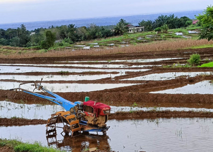 Peningkatan Sektor Pertanian, 8 Poktan Terima Dana Rp100Juta 