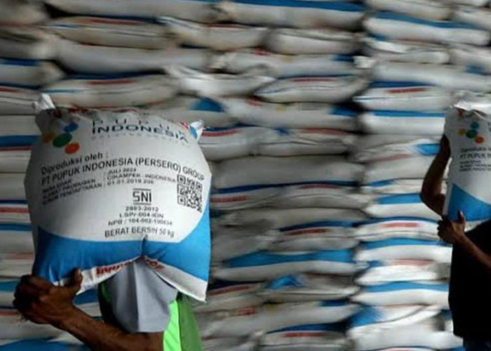 Distributor Pupuk Subsidi : Tahun Ini Kuotanya Akan Ditambah 