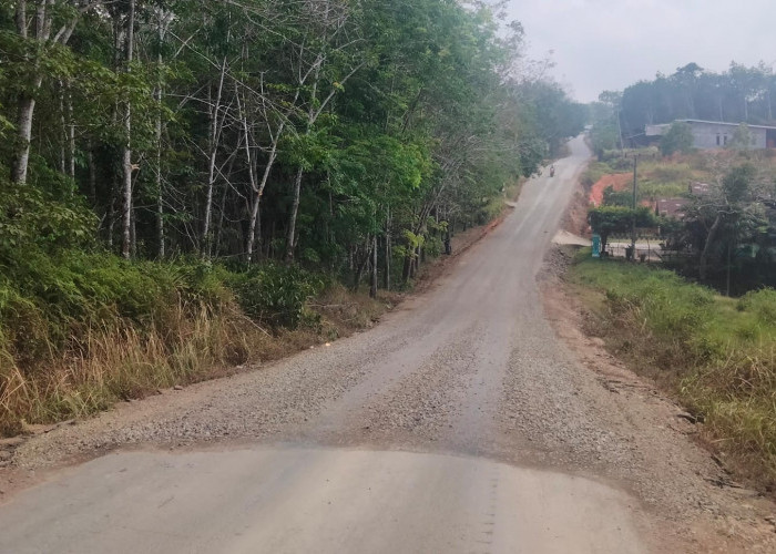 Jalan D1-D2 Diperbaiki, Jalan Tugu Gajah-Karya Jaya Masih Rusak, Begini Pesan Masyarakat untuk Bupati
