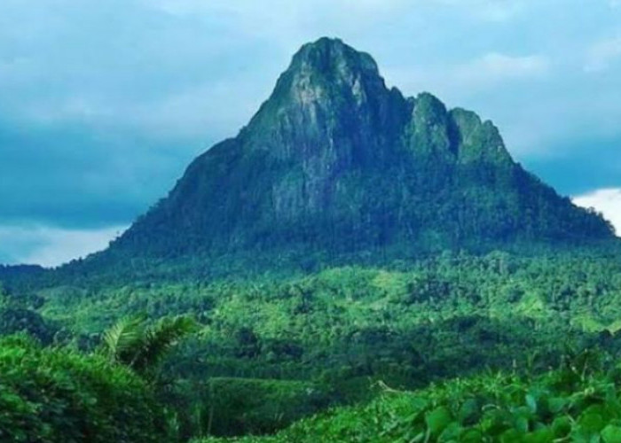 Bosan Main Pantai, Coba Suasana Liburan Baru di Gunung Bungkuk Bengkulu