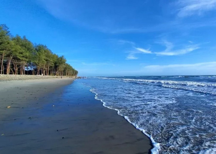 Pantai Aluran Pandan, Tempat Wisata yang Menyimpan Keindahan Alam Bumi Rafflesia
