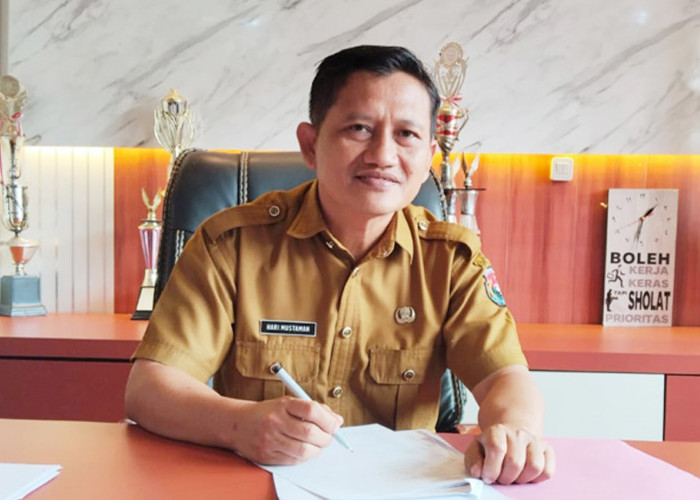 Petani Lubuk Pinang Cemas, Serangan Hama Tikus Ancam Padi Sawah