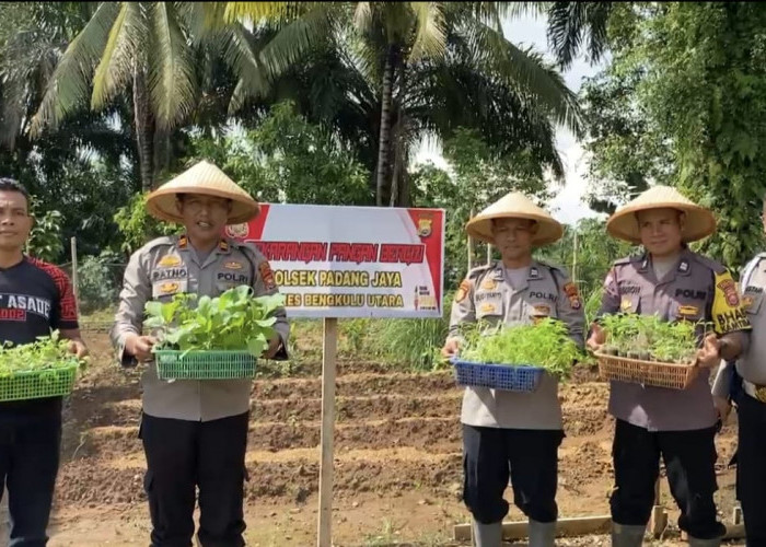 Dukung Program Pemerintah, Polsek Padang Jaya Manfaatkan Pekarangan Kantor untuk Lahan Pangan Bergizi