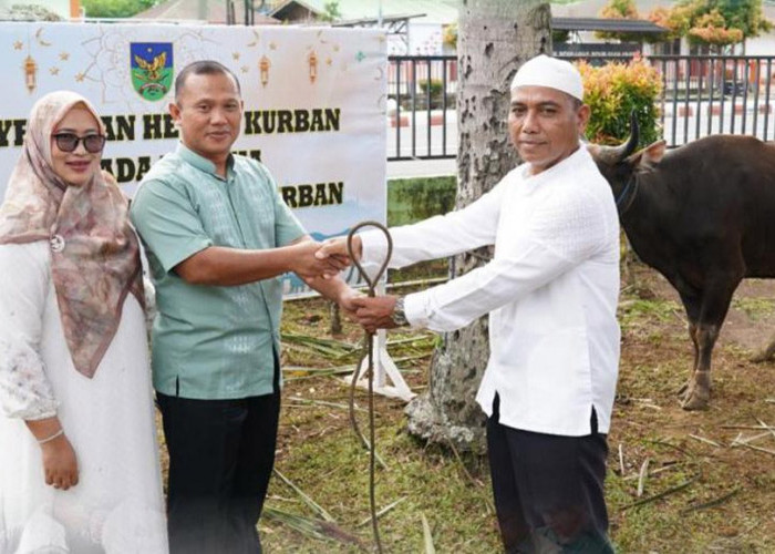 Potong 12 Ekor Hewan Kurban, Danrem 041/Gamas: Semangat Berbagai Idul Adha