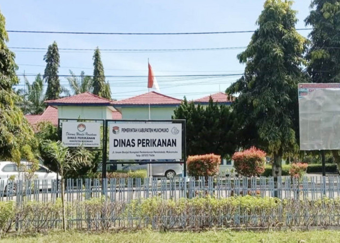 Pengadaan Perahu dan Jaring Lanjut, Mesin Tempel Tunggu APBD Perubahan